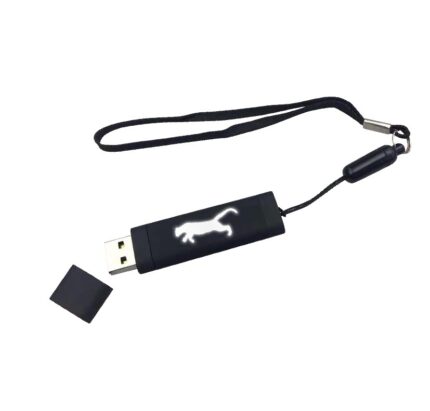 Usb Bellek – Ym200 – 32 GB Usb Bellek